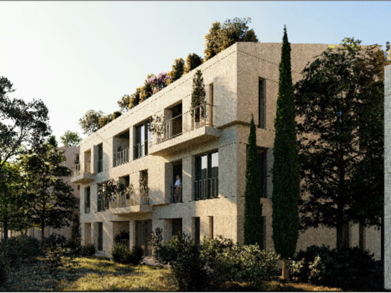 Projekti i ri SUN PALASË, DHËRMI